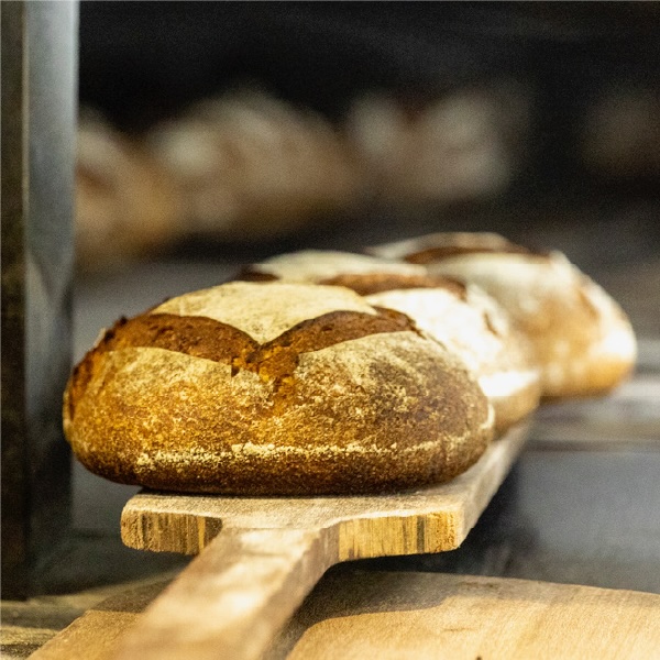 焼きたてのパン